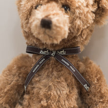 Load image into Gallery viewer, Theodore Bear With Hermes Bow
