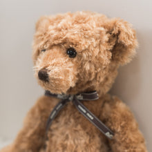 Load image into Gallery viewer, Theodore Bear With Hermes Bow

