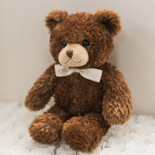 Load image into Gallery viewer, Eddie Teddy Bear with Dior Bow
