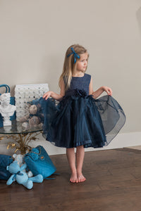 Navy Rosette Dress