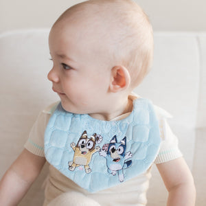 Bluey Bib