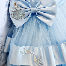Load image into Gallery viewer, Baby Cinderella Dress
